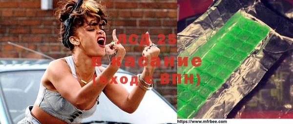 стаф Алзамай