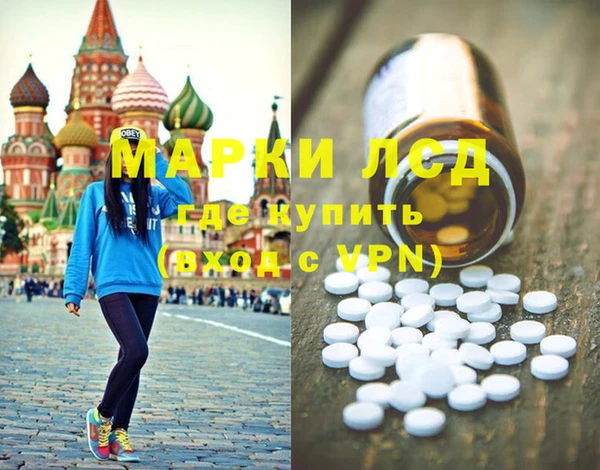 стаф Алзамай