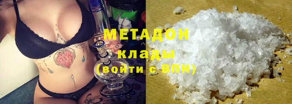 стаф Алзамай