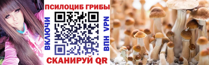 Псилоцибиновые грибы Cubensis  как найти наркотики  Боровичи 
